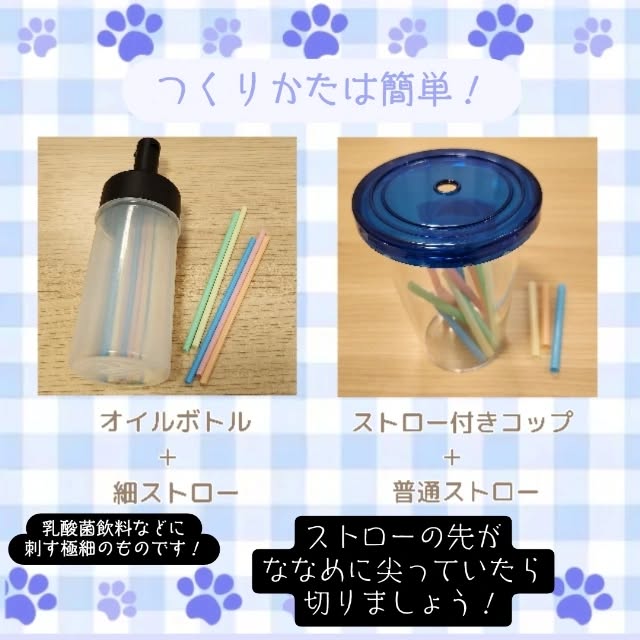 Instagram投稿画像