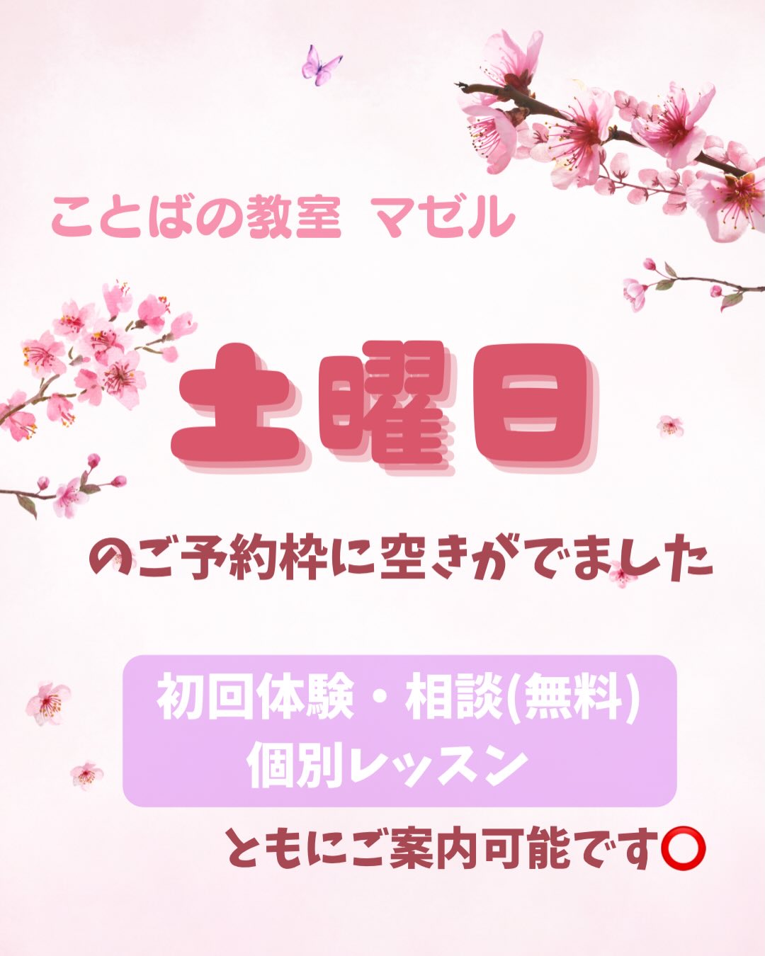 Instagram投稿画像