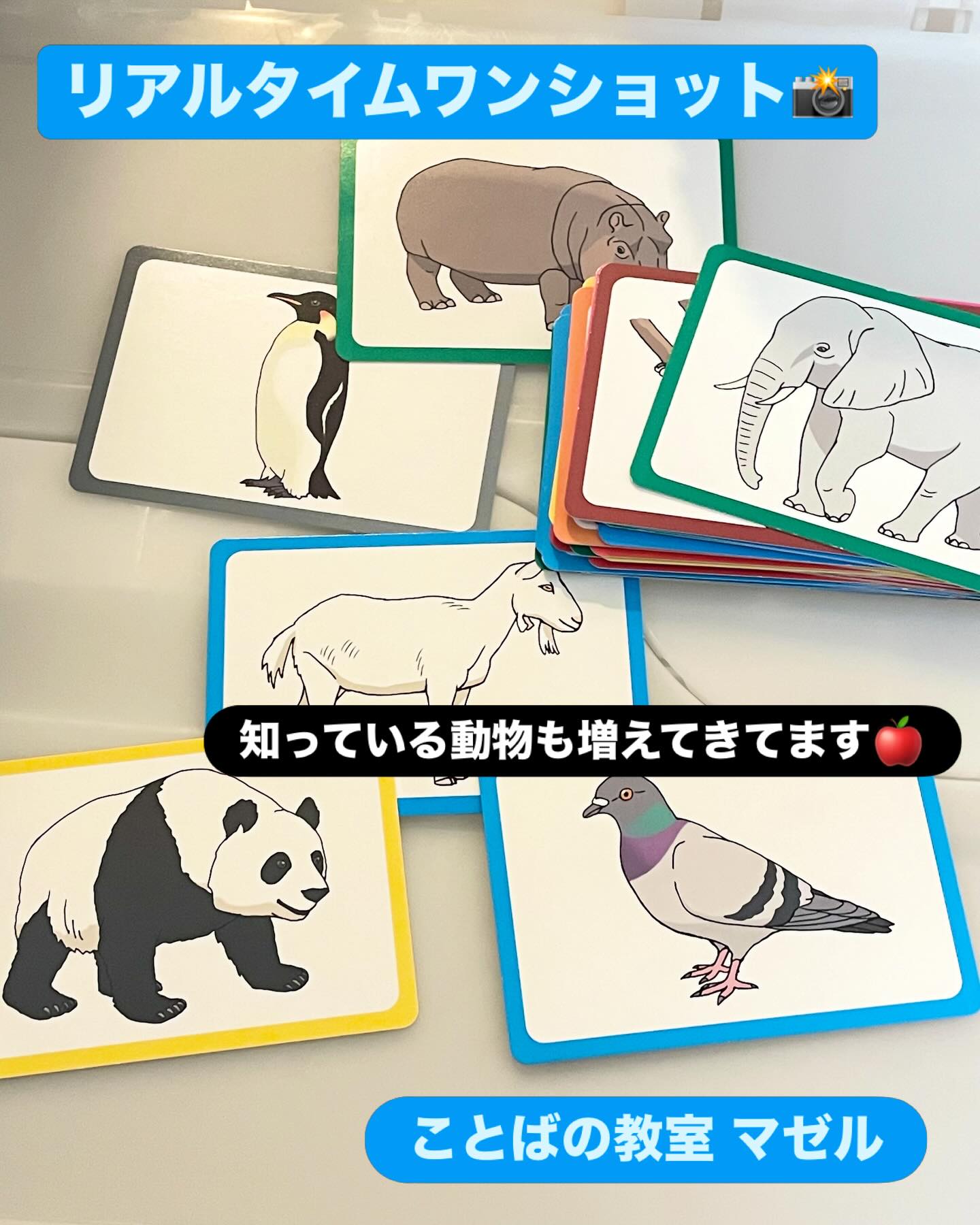 リアルタイムワンショット こちらはレッスンの一コマを リアルタイムでパシャリ📸