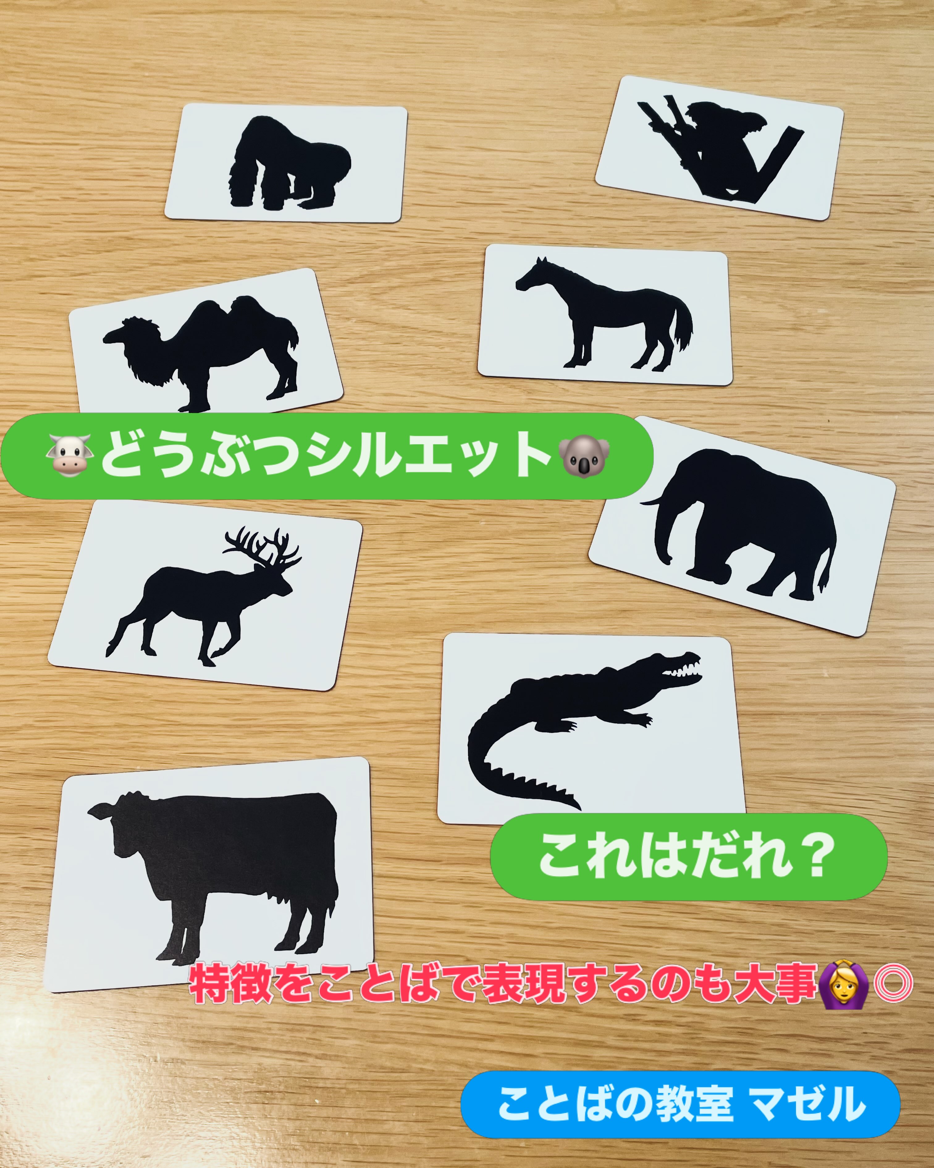 どうぶつシルエットクイズ!