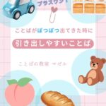 ことばの出始めに引き出しやすいことば🧸 今回はあそびや生活の中で