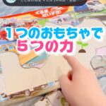 1つのおもちゃで5つの力パズル編🧩