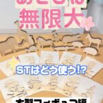 STはどう使う!? 木製フィギュア編🦒