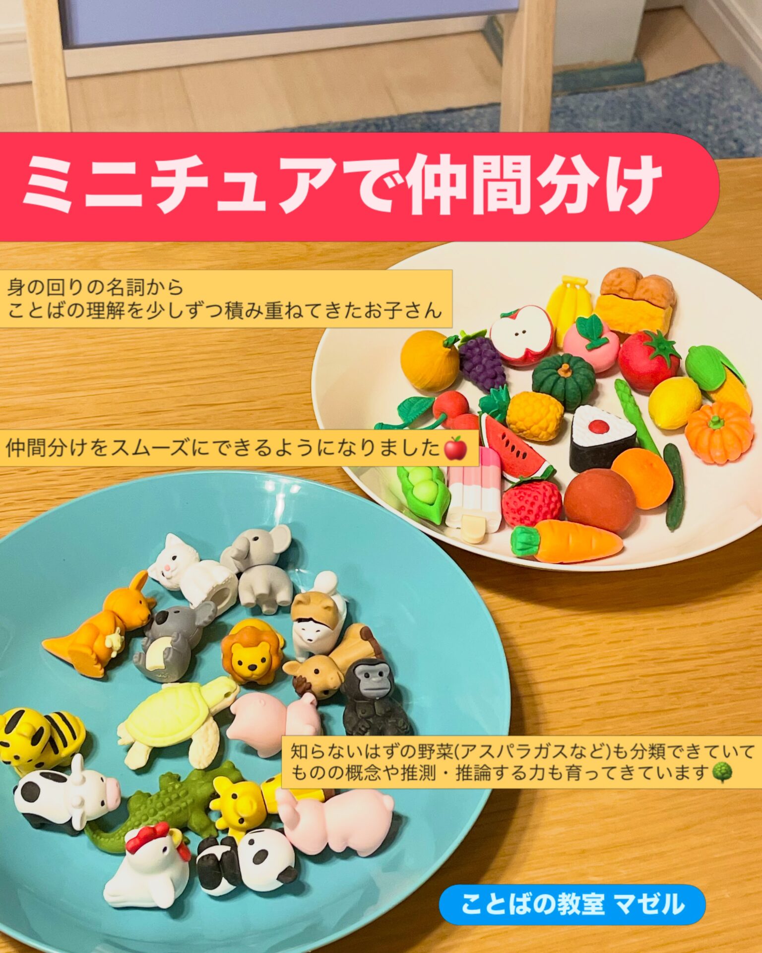 ミニチュアで仲間分け🦁